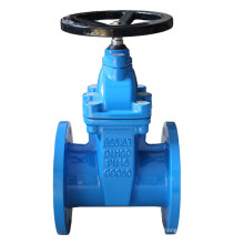 Non-Rising Stem Resilient Seated Gate Valve in China